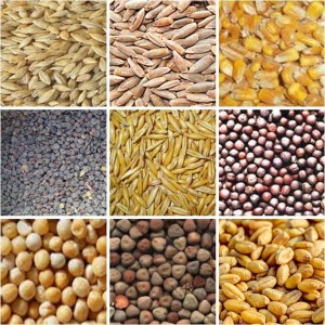portada productos